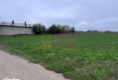Teren de 5000 mp, în Comana - 2