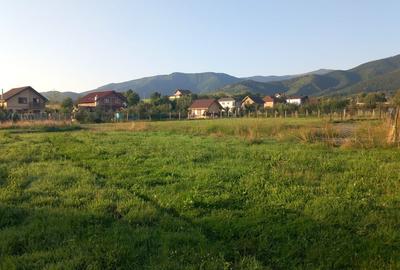 Teren intravilan  | 829 mp | de vanzare- Tocile-Sadu - 2