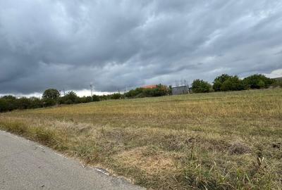 Teren agricol intravilan de 1400 mp, în Comana - 11