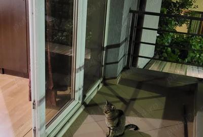 Inchiriez garsoniera Aparatorii Patriei Universitatea Spiru Haret - 1