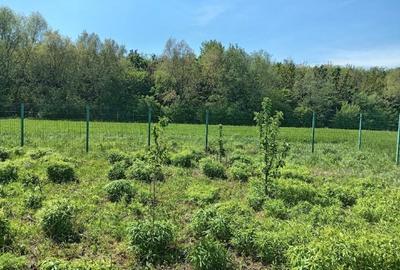 Teren Construcții intravilan de 837 mp, în Stupini - 2