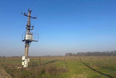 Teren de 749000 mp, în Bucești - 4