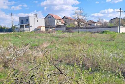 Teren Construcții intravilan de 792 mp, în Mogoșoaia - 2