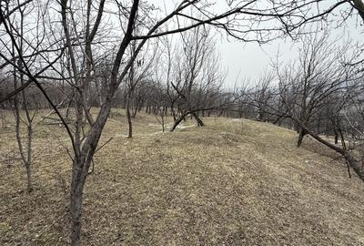 Teren 4652 mp cu izvor pe el, Lunca Mare, lângă păstrăvăria Doftana - 18