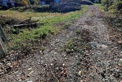 Casă cu 4 camere în Vlădești - 3