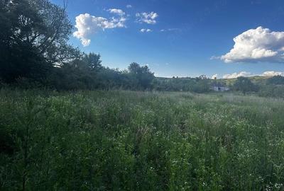 Teren de 2970 mp, în Tauț - 1