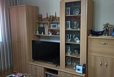 Apartament cu 2 camere semidecomandat în Gojdu - 3
