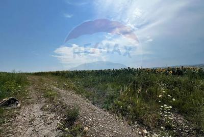 Teren de 3500 mp, în Ilișești - 4