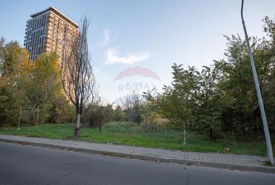 Vanzare Teren 1,800mp Vacaresti-Tinetretului - 6