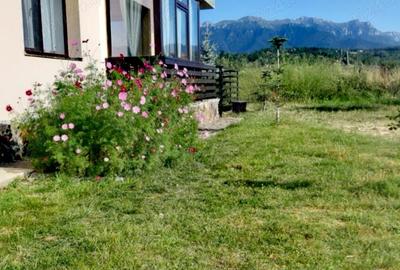 Ap. De vanzare in Vila in Bran 2 camere. - 1