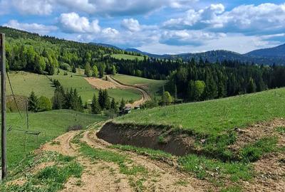 Teren de 3300 mp, în Piatra - 2