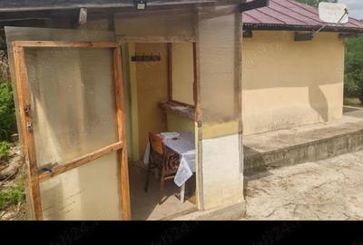 Casă cu Teren 2000 Mp în Central - 5