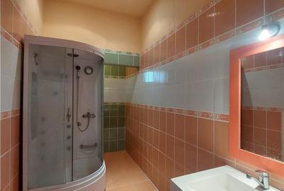 Casă cu 5 camere decomandat cu Teren 2155 Mp în Periam - 2