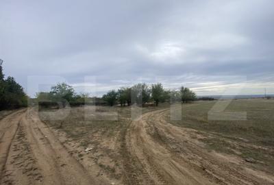 Teren partial intravilan 15000 mp, deschidere 136 m, zona Pa - 1