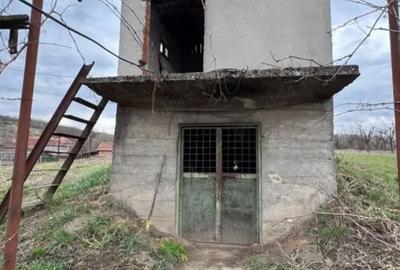 Casa taraneasca linga Marghita - 2