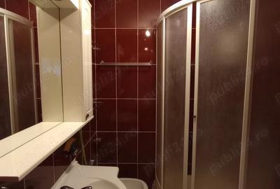 Victoriei Titulescu Gh. Duca Gara de Nord Polizu: proprietar particular - 4