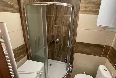 De inchiriat apartament cu o camera in zona Aradului - 3