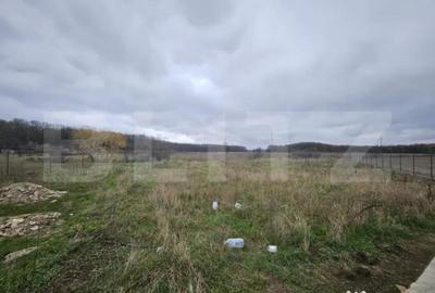 Teren de 1184 mp, în Abator - 3