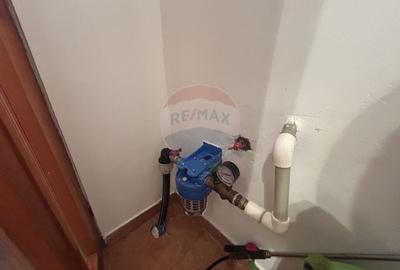 Casa cu teren de vanzare in Busag - 22