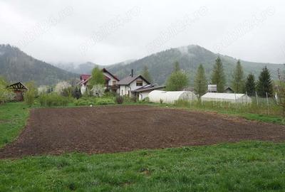 Casă cu 6 camere în Bucșoaia - 9