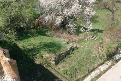 Teren de 3682 mp, în Măneciu - 4