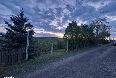 Spațiu comercial, în Șura Mare - 13