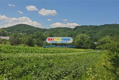 Teren intravilan comuna Bogati sat Birloi Jud. Arges - 2