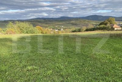 Teren de 27000 mp, în Aghireș - 1