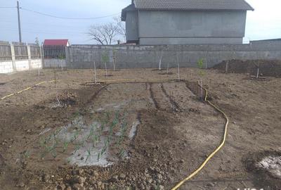 Spațiu comercial, în Lumina - 6