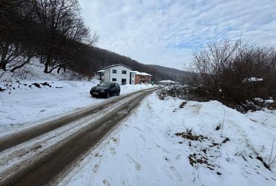 Teren Construcții intravilan de 2877 mp, în Florești - 2