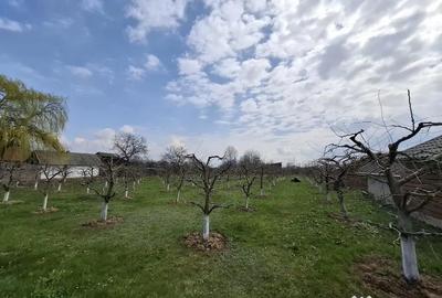 Teren de 2000 mp, în Răucești - 2