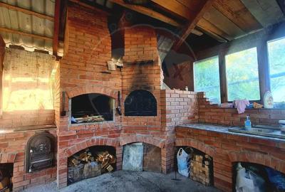 Casa de vanzare 170 mp, teren 1800 mp, Medias, cartier Vitrometan - 16