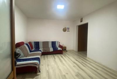 Apartament 2 camere, mobilat si utilat, Lunca Cetatuii - 1