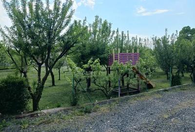 Casă cu 6 camere în Bazoș - 2