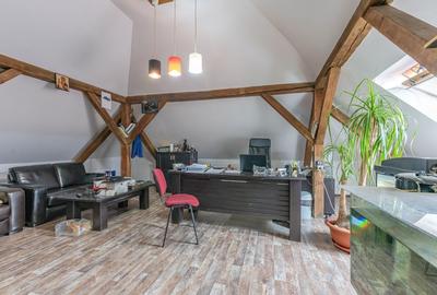 CASA BARTOLOMEU- sediu firma/ comercial/ servicii- zona circulata - 6