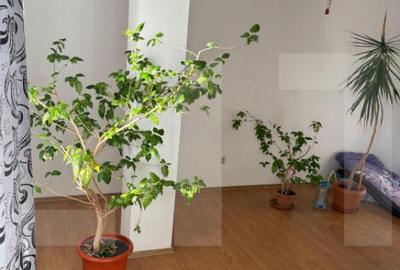 Studio 34 mp utili + balcon 4 mp, etaj 3/3, zona Salaj - 4