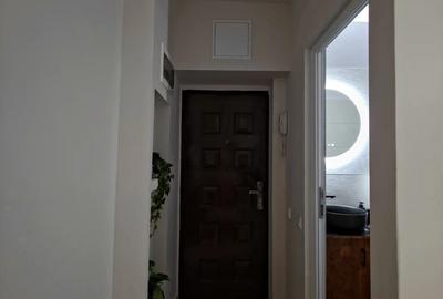 Spațiu comercial, de 20 mp, în P-ța Alba Iulia - 3