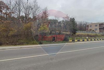 Oportunitate investi?ie B. Felix teren intravilan cu PUZ 1157 mp DN 76 - 5