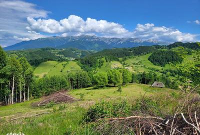 Spațiu comercial, în Moieciu - 5