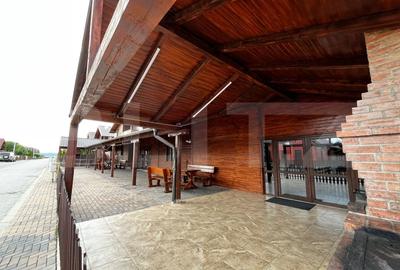 Cabana complet echipata in Baile Figa - 5 dormitoare, 2 bai, aer conditionat - 19