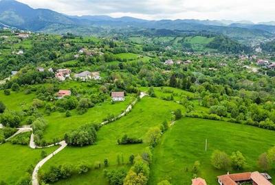 Film! Domeniu pe 11.000mp intravilan, panorama montana,Bran,Sohodol - 14