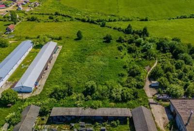 Spațiu comercial, în Teliu - 6