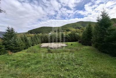 Teren Intravilan de Vanzare 3622 mp Rau Sadului - 4