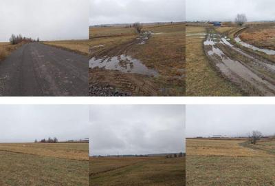 Teren extravilan Com. Vlahita, jud. Harghita - 4