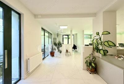 Spa?iu comercial cu terasa ideal servicii cartier Borhanci - 2