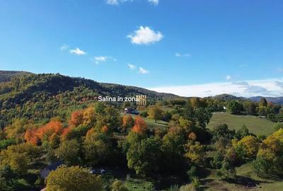 Teren intravilan 3500 mp Zona turistica Cacica Bucovina! - 9
