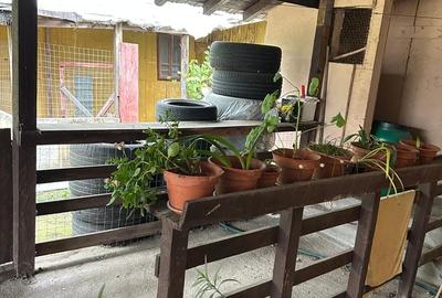 Casă cu 3 camere cu Teren 1000 Mp în Central - 4