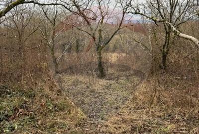 Teren în Central - 9