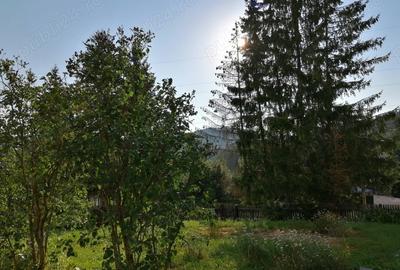 Casă cu 3 camere în Predeal - 1