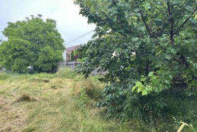 Casa Individuala 150 mp, teren 900 mp, zona Ioachim Olteanu Casa Individuala 150 mp, teren 900 mp, zona Ioachim Olteanu - 3